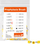 e9f8677b-06eb-4aea-8328-e8602ff666cd