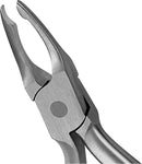 0eea938b-353e-4ec5-baf9-dbb85ef644fe