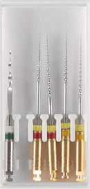 d03fdf6e-5802-4a0c-910b-4381b0616576