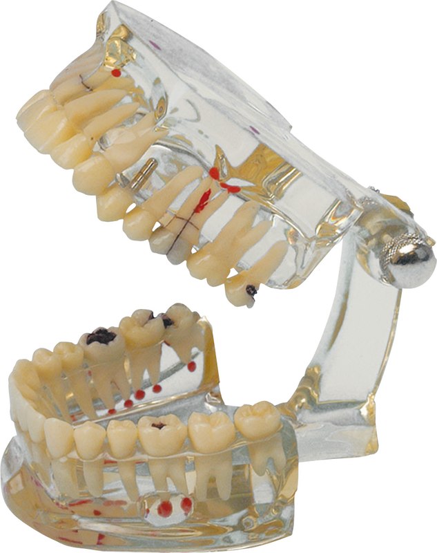 430fa2e0-26b6-4fba-84c0-c95898ebe8ea