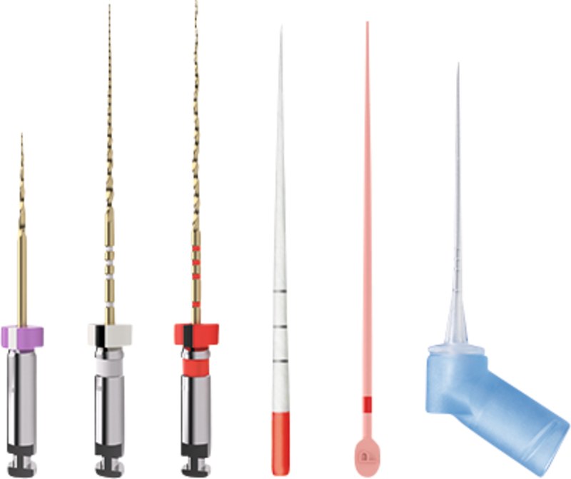 09780e65-0321-4faf-8456-66d50de36c4e