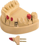 a6898666-9880-4603-9c6c-57b5f10d44c0