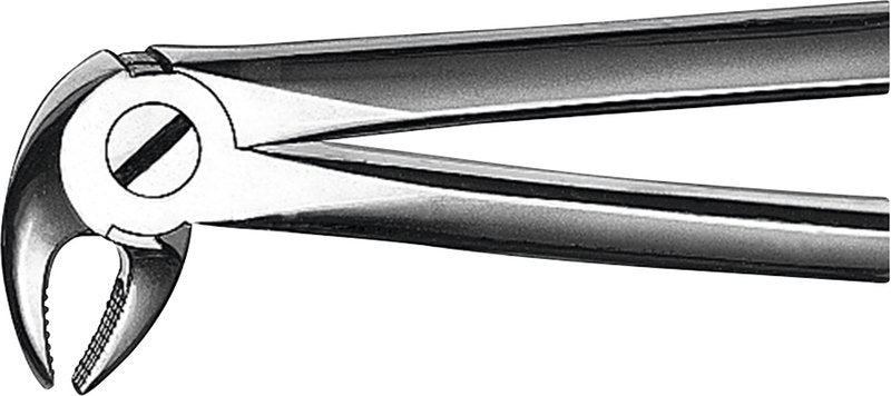 6c51523c-e6b4-4710-8936-cfd5b25f47d4