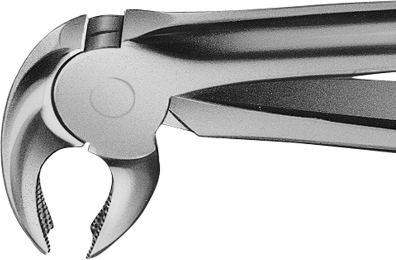 3e6e8c99-4859-4527-bad0-748d44d945a3