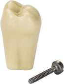 50c51b85-a79b-45fd-a162-cfd8c5e41b97