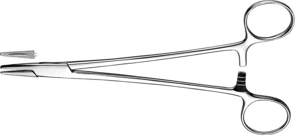 0dd572f0-ed69-4b54-8445-4a66516074ce
