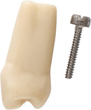 a3cd2ead-2e24-4990-9f43-ad035f42854a