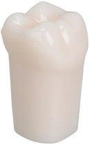 48839b20-0111-4181-9621-0bd7e078131b