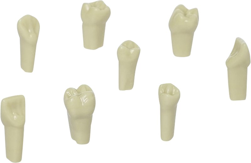 145da436-845a-440d-9254-6f8dcfae8dda