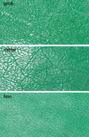 0b34010d-bbca-4201-a126-c7516d1a68f0